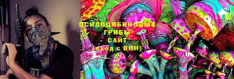 Галлюциногенные грибы Psilocybe  цены   Власиха 